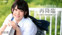 「白咲碧」 出演