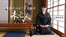 「上野真奈美」 出演