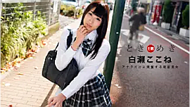 白瀬ここね／ときめき