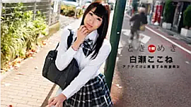 「白瀬ここね」 出演
