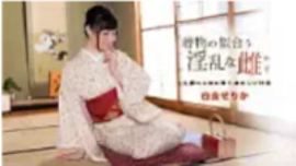 「白金せりか」 出演